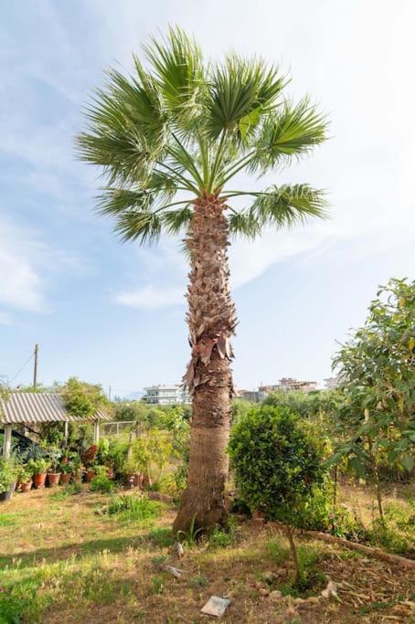 Dream House Apartamento Preveza Exterior foto